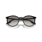 Ray-Ban RB 2204 901/32 Güneş Gözlüğü, Ekartman: 54
