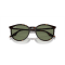 Ray-Ban RB 2204 902/GJ Güneş Gözlüğü, Ekartman: 51