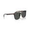 Ray-Ban RB 2206D 710/87 Güneş Gözlüğü