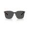 Ray-Ban RB 2206D 710/87 Güneş Gözlüğü