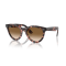Ray-Ban RB 2241 133451 Güneş Gözlüğü, Ekartman: 51