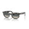 Ray-Ban RB 2242 133371 Güneş Gözlüğü, Ekartman: 53