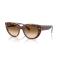 Ray-Ban RB 2286 141451 Güneş Gözlüğü, Ekartman: 49