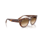 Ray-Ban RB 2286 141451 Güneş Gözlüğü, Ekartman: 49