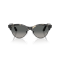 Ray-Ban RB 2341 143371 Güneş Gözlüğü, Ekartman: 51