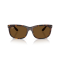 Ray-Ban RB 2389 902/57 Güneş Gözlüğü, Polarize: Evet, Ekartman: 60