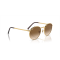 Ray-Ban RB 3637 001/51 Güneş Gözlüğü, Ekartman: 53