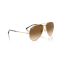 Ray-Ban RB 3825 001/51 Güneş Gözlüğü, Ekartman: 62