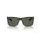 Ray-Ban RB 4165 865/9A Güneş Gözlüğü