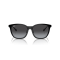 Ray-Ban RB 4333D 601/8G Güneş Gözlüğü