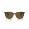 Ray-Ban RB 4362 710/73 Güneş Gözlüğü