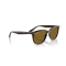 Ray-Ban RB 4362 710/83 Güneş Gözlüğü