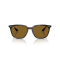 Ray-Ban RB 4362 710/83 Güneş Gözlüğü