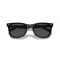 Ray-Ban RB 4420 601/87 Güneş Gözlüğü