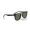 Ray-Ban RB 4420 601/9A Güneş Gözlüğü