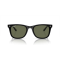 Ray-Ban RB 4420 601/9A Güneş Gözlüğü