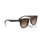 Ray-Ban RB 4420 710/13 Güneş Gözlüğü