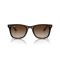Ray-Ban RB 4420 710/13 Güneş Gözlüğü