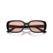 Ray-Ban RB 4421D 667784 Güneş Gözlüğü