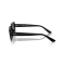 Ray-Ban RB 4421D 667787 Güneş Gözlüğü