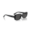 Ray-Ban RB 4421D 667787 Güneş Gözlüğü