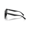 Ray-Ban RB 4423D 601/87 Güneş Gözlüğü