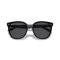 Ray-Ban RB 4423D 601/87 Güneş Gözlüğü