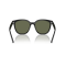 Ray-Ban RB 4423D 601/9A Güneş Gözlüğü