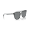 Ray-Ban RB 4423D 645087 Güneş Gözlüğü