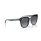 Ray-Ban RB 4423D 6592T3 Güneş Gözlüğü