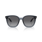Ray-Ban RB 4423D 6592T3 Güneş Gözlüğü