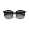 Ray-Ban RB 4423D 6592T3 Güneş Gözlüğü