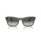 Ray-Ban RB 4428 667571 Güneş Gözlüğü