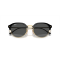 Ray-Ban RB 4429 601/GH Güneş Gözlüğü, Ekartman: 53