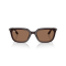 Ray-Ban RB 4439D 623173 Güneş Gözlüğü