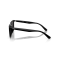 Ray-Ban RB 4439D 901/87 Güneş Gözlüğü