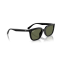 Ray-Ban RB 4439D 901/9A Güneş Gözlüğü