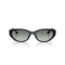 Ray-Ban RB 4457D 667711 Güneş Gözlüğü