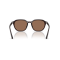 Ray-Ban RB 4459D 623173 Güneş Gözlüğü