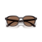 Ray-Ban RB 4459D 623173 Güneş Gözlüğü