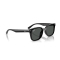 Ray-Ban RB 4461D 601/87 Güneş Gözlüğü
