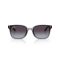 Ray-Ban RB 4461D 64508G Güneş Gözlüğü