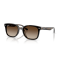 Ray-Ban RB 4461D 710/13 Güneş Gözlüğü