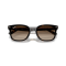 Ray-Ban RB 4461D 710/13 Güneş Gözlüğü