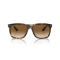 Ray-Ban RB 4547 710/51 Güneş Gözlüğü