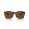 Ray-Ban RB 4547 710/57 Güneş Gözlüğü