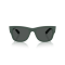 Ray-Ban RB 4840S 665787 Güneş Gözlüğü