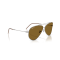 Ray-Ban RB R0101S 004/83 Güneş Gözlüğü