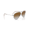 Ray-Ban RB R0101S 004/CB Güneş Gözlüğü
