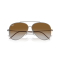 Ray-Ban RB R0101S 004/CB Güneş Gözlüğü